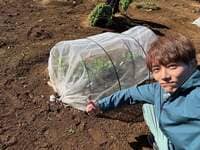 杉浦太陽『今日は』