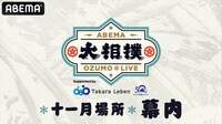 大相撲LIVE 十一月場所（幕内）2日目