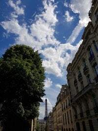 中村江里子『トマトいろいろ』