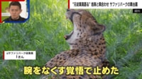 【映像】「腕をなくす覚悟で...」危険なサファリパークの舞台裏