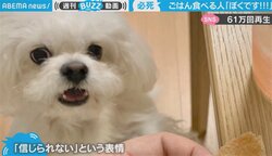 「ワンということを！」飼い主の行動に犬が絶望 お口“あんぐり”の秀逸リアクションに反響