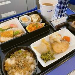  小柳ルミ子、完食してしまった美味な機内食を公開「痛みには超強いのに食べたい欲求は抑えられない」 