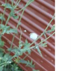 SPARTAが新曲「Maybe」をリリース。自身主催のオールナイトイベント『JOMO』を4月に開催