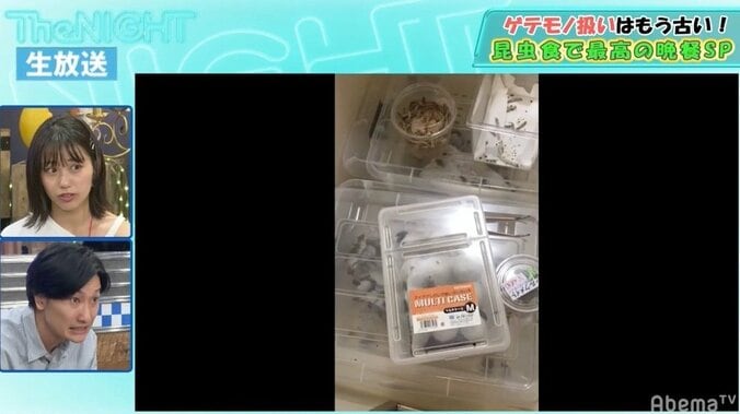 「友達を油で揚げる」「鳴く音で不眠症に」現役ナースタレントの衝撃“昆虫食”エピソード 2枚目