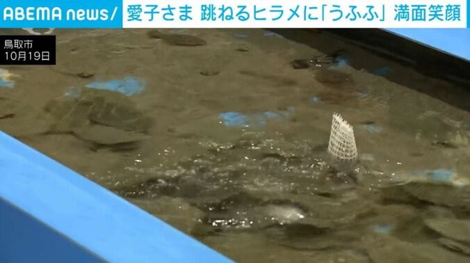 ヒラメ