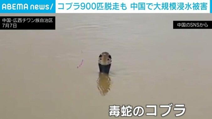 中国