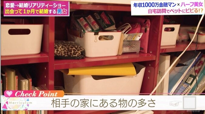 藤森慎吾、彼女のペットは爬虫類がベスト！？種類よりも「臭い」が重要 5枚目