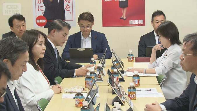 “証拠の開示・扱い”に懸念も…自民　再審見直し案を了承“検察の抗告禁止”本則に 1枚目