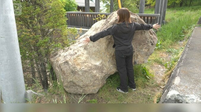 松くい虫の被害拡大で巨大な岩が落下　住宅の塀やガレージを破壊　長野・松本市 1枚目