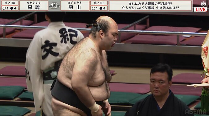 「花道の奥に妖精が」大相撲、花道奥に一目でわかる特徴的な姿 「めっちゃ目立つ」ファン興奮 4枚目