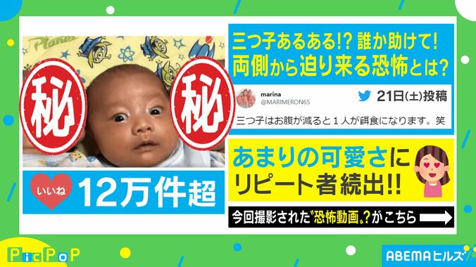 両側から迫り来る恐怖…空腹時に取った三つ子の行動に悶絶「みんな可愛い」「永遠に見てられる」 1枚目