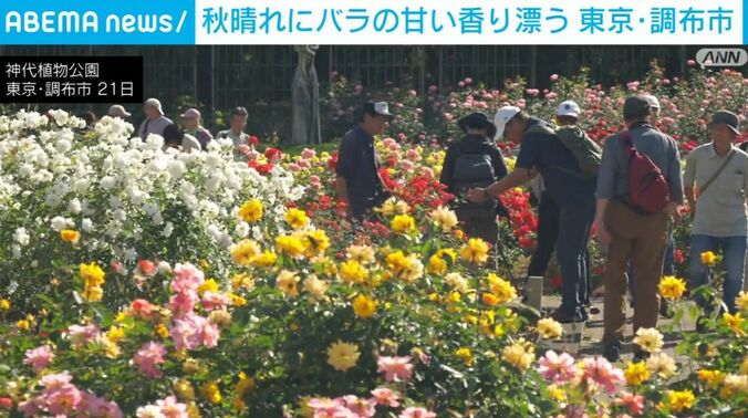 神代植物公園