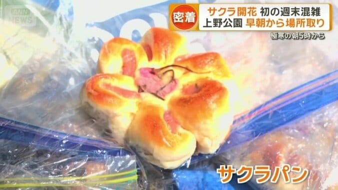 自家製のサクラパン