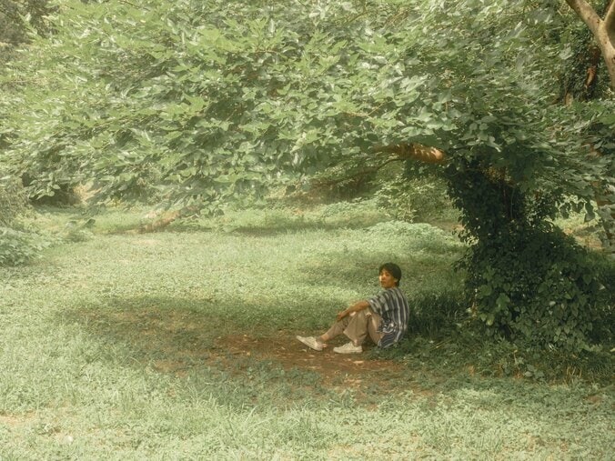 【写真・画像】　1枚目
