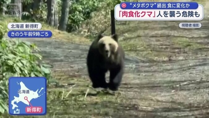 一度姿を消した直後…