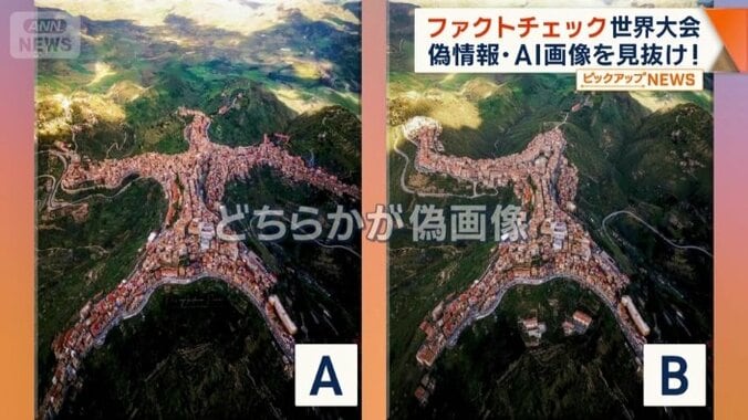 どちらかが偽画像