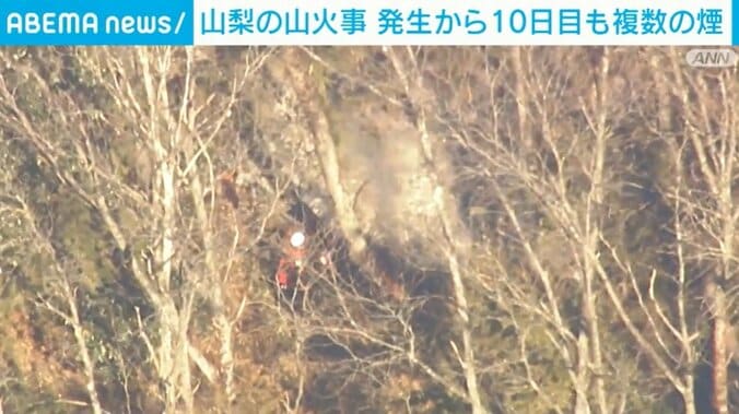 地上隊による消火活動