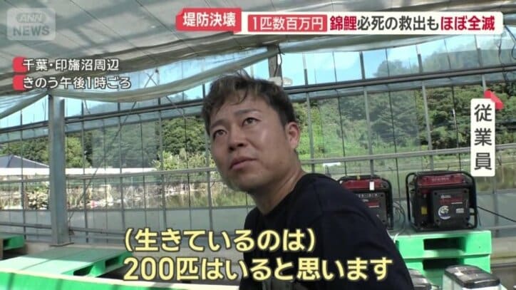 従業員