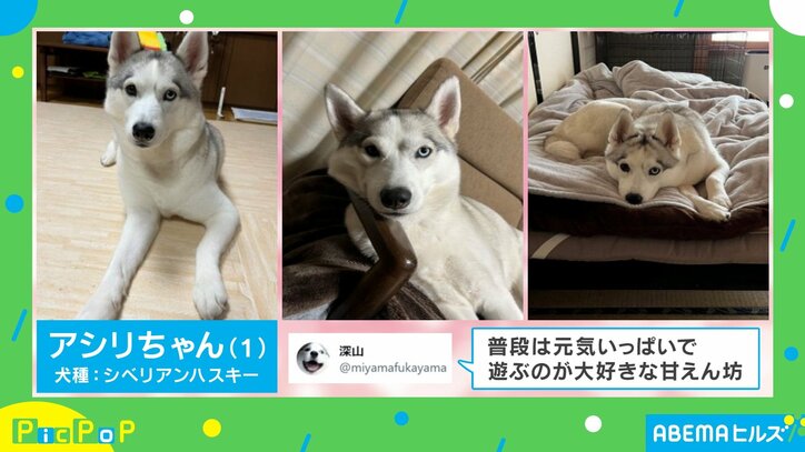 【写真・画像】 2枚目