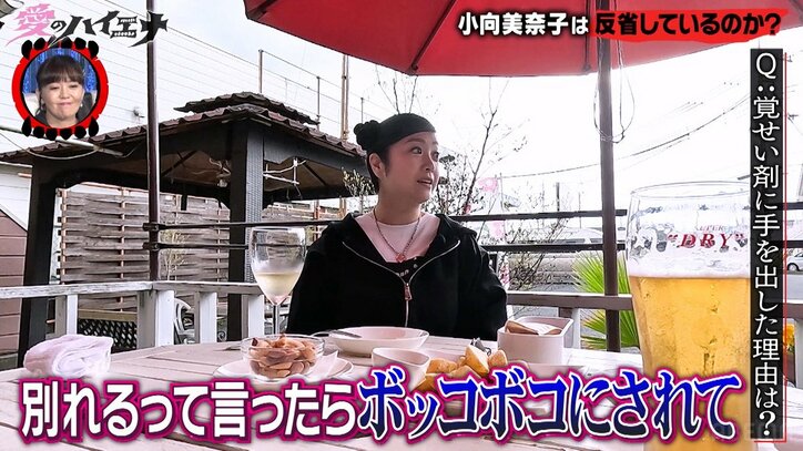 【写真・画像】元大人気グラドル、覚せい剤に手を出したきっかけはDV彼氏「1口吸ったら殴られない」　2枚目