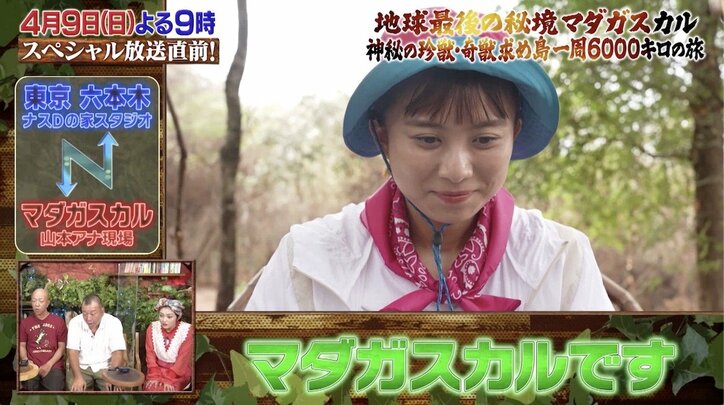 「どうしたっ!?」テレ朝女子アナを襲った悲劇…カメレオンの威嚇に逃走する“珍映像”にスタジオ騒然