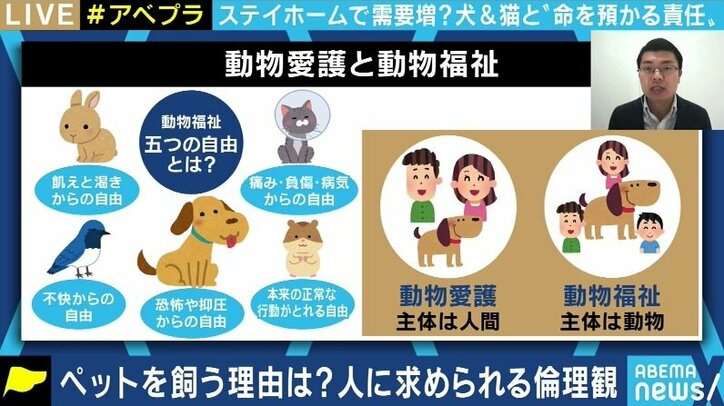 「飼ってみたら匂いと鳴き声が…」コロナ禍に買われた犬猫の放棄が急増? ペットショップでの販売はやめるべきか