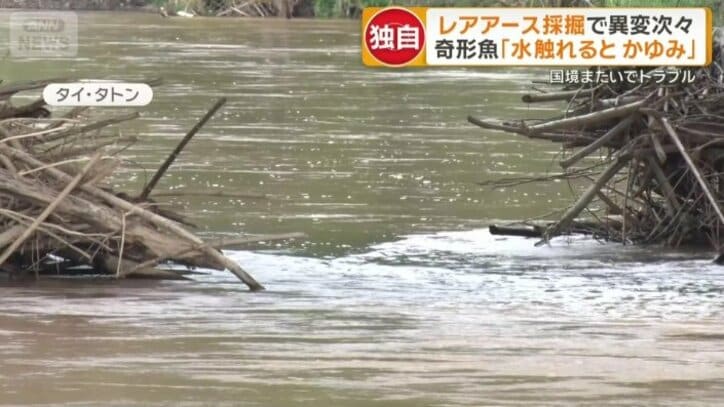 「濁りが消えない」コック川