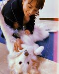「なぜ君はそんなに可愛いんだい」川口春奈、犬と戯れる微笑ましいオフショットを公開