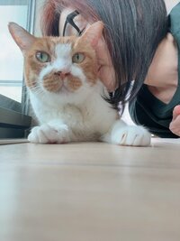 松居直美『皆んな一緒に(*˙︶˙*)☆*°』