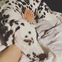 高岡早紀『今夜は…』