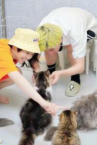 misono『メニエール病から心因性難聴へ』