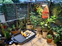 ナオコの旦那『昨日の晩ご飯は　急遽テラスでバーベキュー』