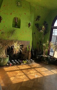 野沢直子『サザエさん』