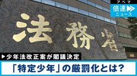 「特定少年」は厳罰化へ…実名報道も