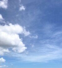 横山だいすけ『ぼくの生きる道』