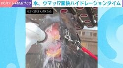 まさに「直飲みの極地」！シャワーからダイレクトに水を飲む馬に「普段見られない」「豪快」などの声