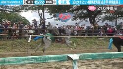 すごくすごい…語彙力を失ってしまうほどの“相馬野馬追”迫力映像に 「これこそ武士の鍛錬なり！」「一千年の歴史を駆け抜けてる…」と話題