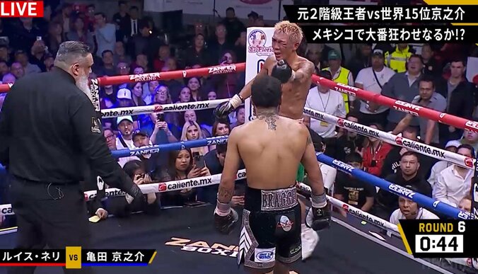 【写真・画像】　1枚目