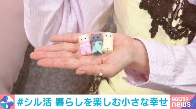 犬山氏の私物（ペルシャネコのみつごちゃん）