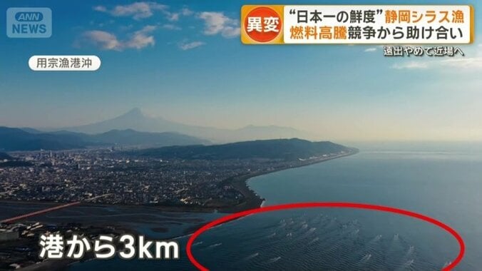 港から近い約3kmの漁場