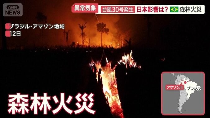 森林火災が発生