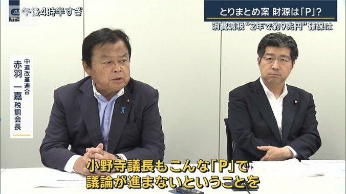 中道改革連合　赤羽一嘉税調会長