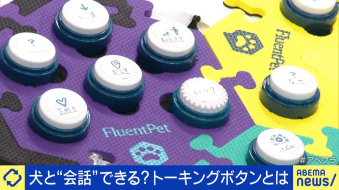 コミュニケーションに用いられる“トーキングボタン”