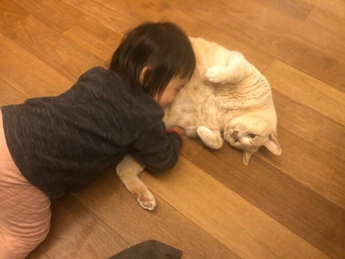 大渕愛子弁護士、すっかり打ち解けた娘と愛猫の姿「可愛がり方は、ちょっと強引ですが」 1枚目