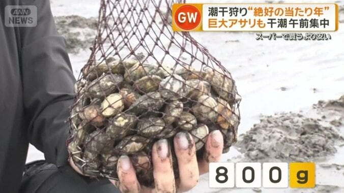 番組スタッフは1時間かけて800グラム