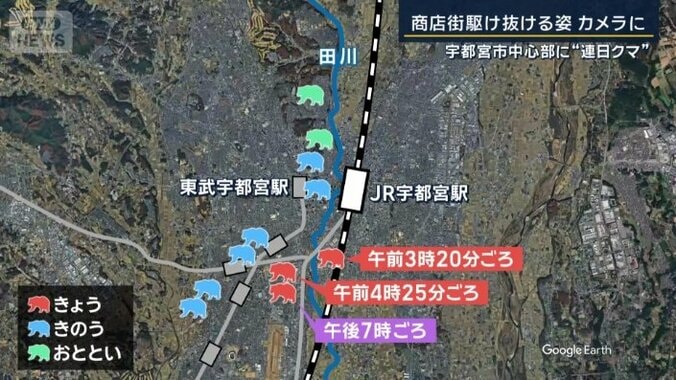 クマの目撃情報