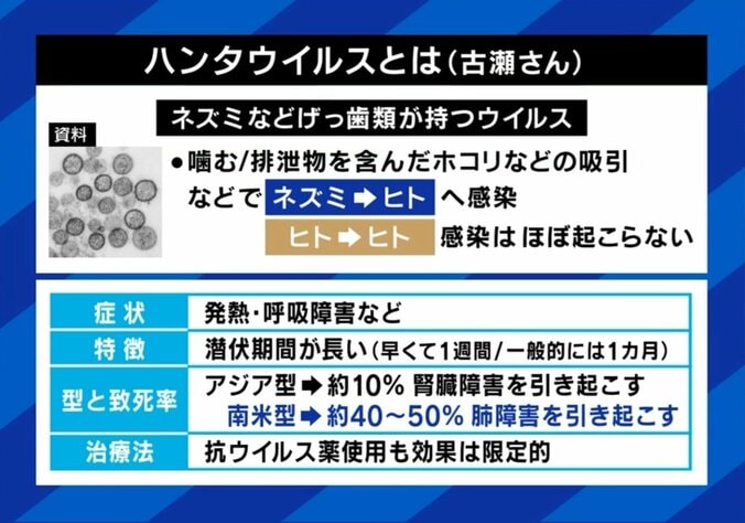 ハンタウイルスとは