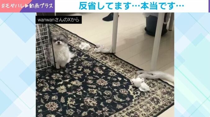 もじゅくん