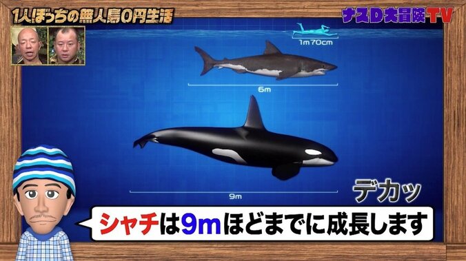 サメの天敵はシャチではなく…ナスD「毎年日本人の人口ぐらいのサメが、人間によって殺されている」 4枚目