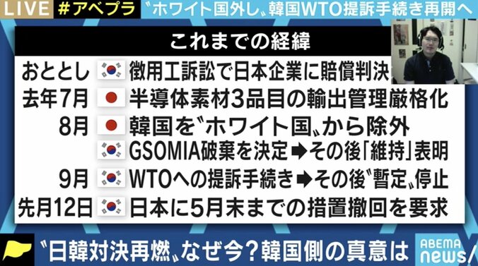 「無理筋だと分かっていて、あえてやっている」「日本メディアは大きく取り上げすぎるな」韓国のWTO提訴手続き再開をどう見る? 4枚目